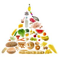 Everyday Diet Food Pyramid Nutrition